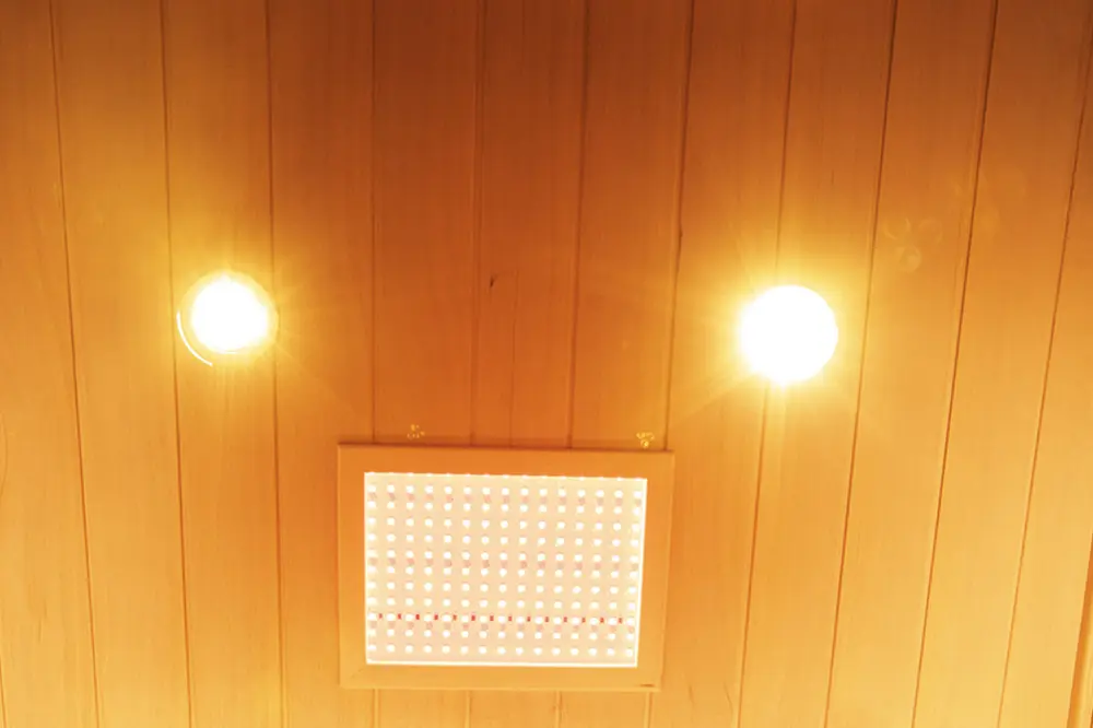 Wizzisaunas S02 infrared sauna 3-color reading light with warm, white, and soft white modes